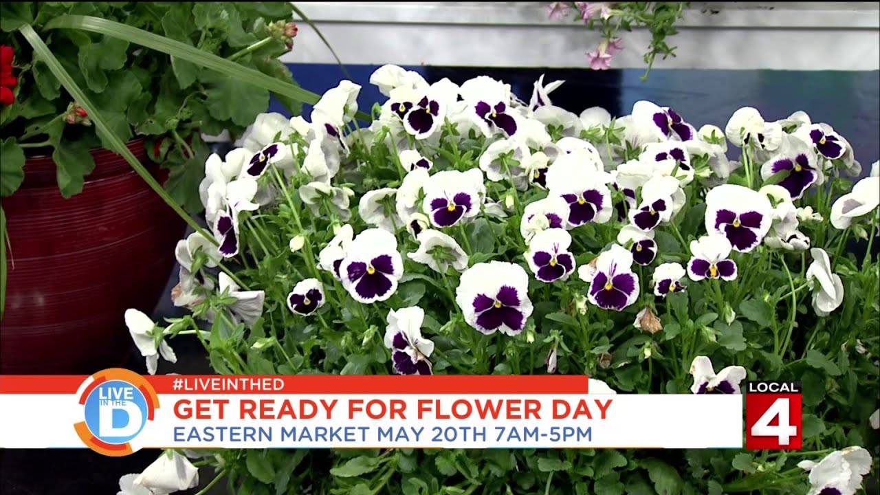 Live in the D: Get ready for Flower Day!
