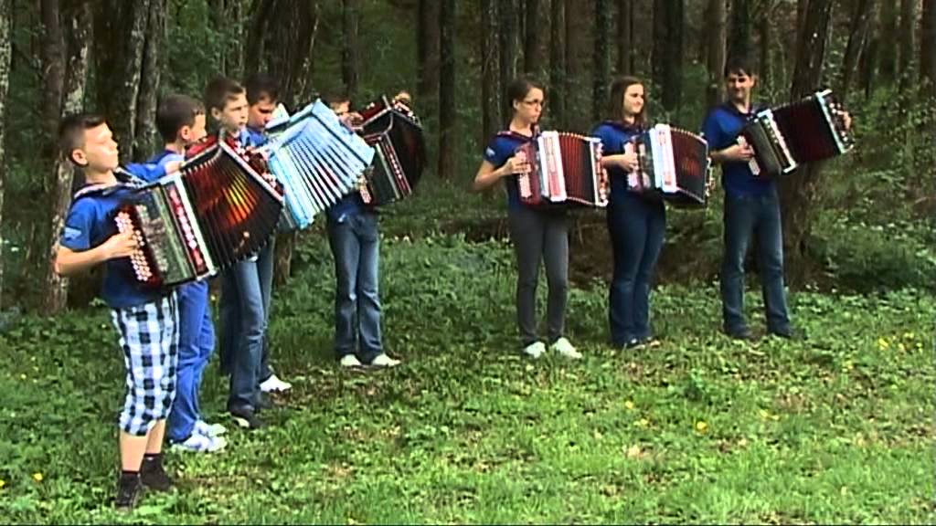 ORKESTER ANDREJA BAJUKA LASTOVKE