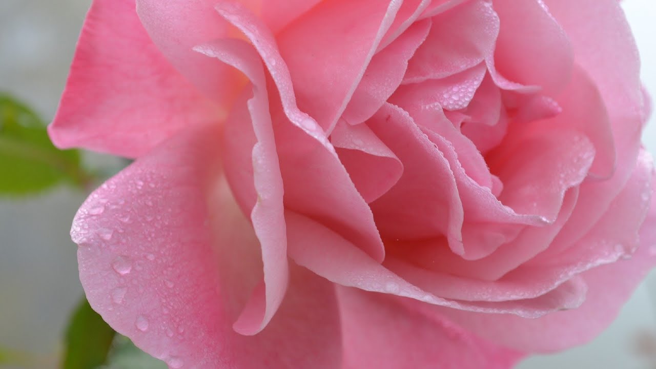 Volto materno di Dio