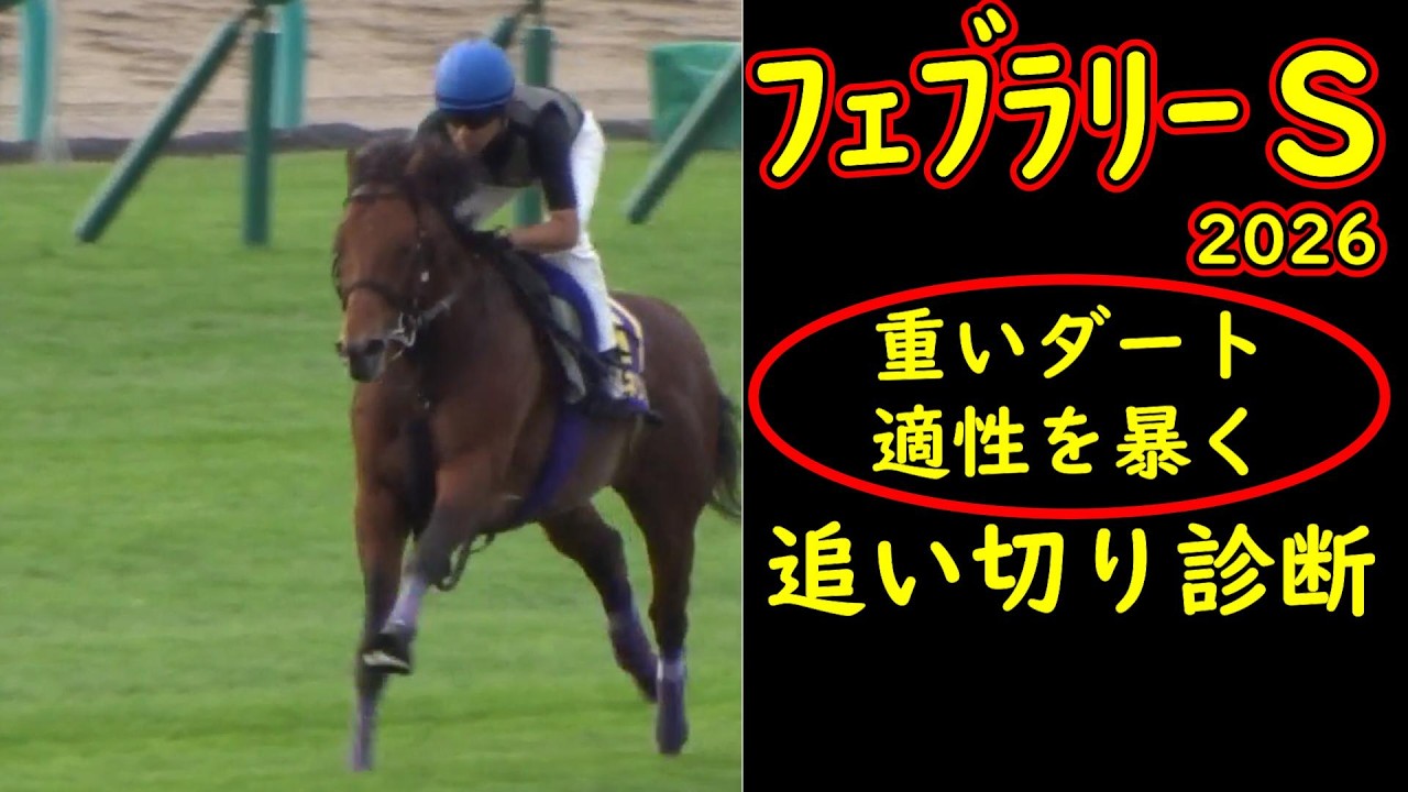【フェブラリーステークス2026追い切り診断】重いダートで買えるのはパワー型！全頭徹底評価＆危険な人気馬を暴く
