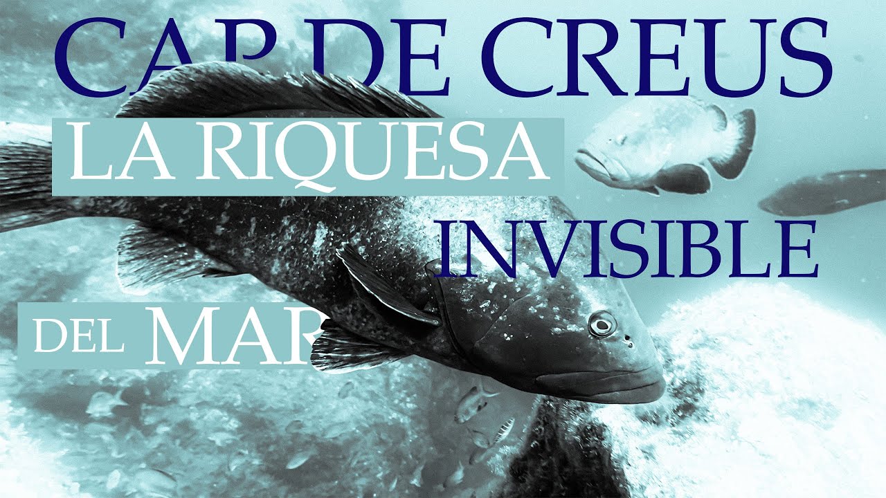[CAT] CAP DE CREUS: la riquesa invisible del mar (DOCUMENTAL)