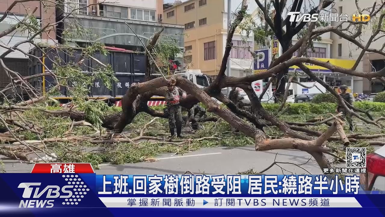高雄苓雅中正一.正言路 200m樹倒逾20棵｜TVBS新聞 @TVBSNEWS01