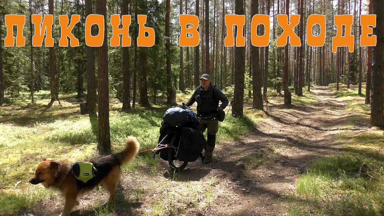 ПиКонь В ПОХОДЕ МОЙ ОПЫТ ПЕРЕНОСКИ ГРУЗА