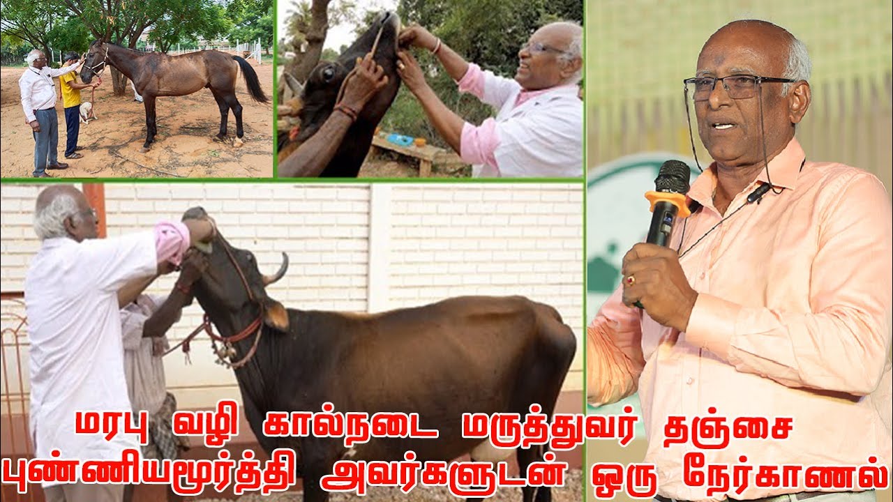 வீட்டில் இருக்கும் கால்நடைகளுக்கு ஏற்படும் நோய்களுக்கு சித்த மருத்துவ சிகிச்சை | Dr.புண்ணியமூர்த்தி