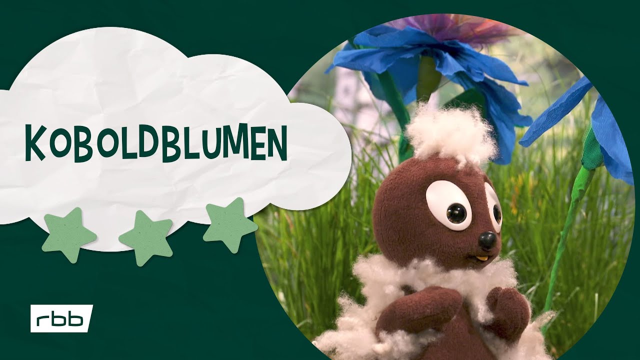 Pittiplatsch: Koboldblumen | Unser Sandm&auml;nnchen