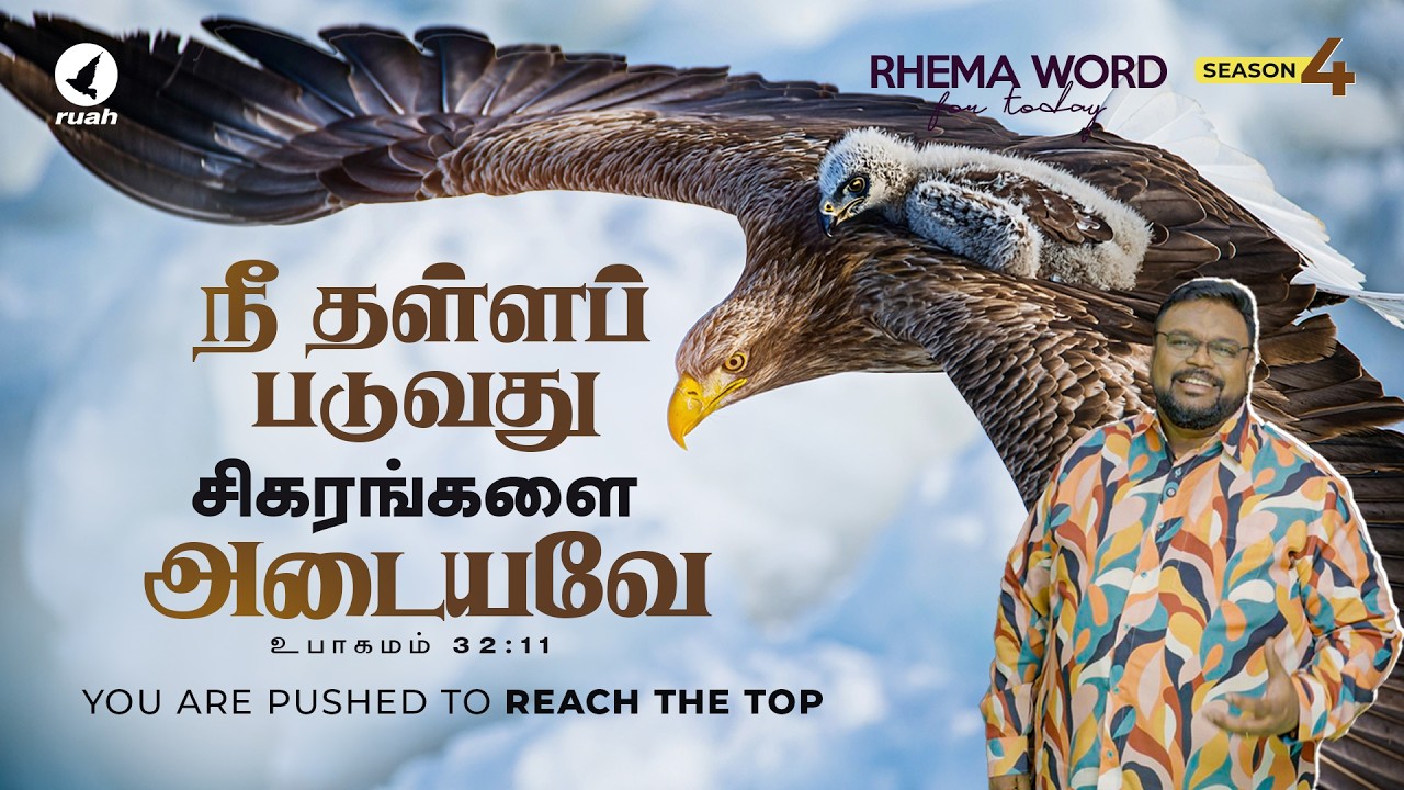 நீ தள்ளப் படுவது சிகரங்களை அடையவே! #rhemaword #ruahtv #alwinthomas
