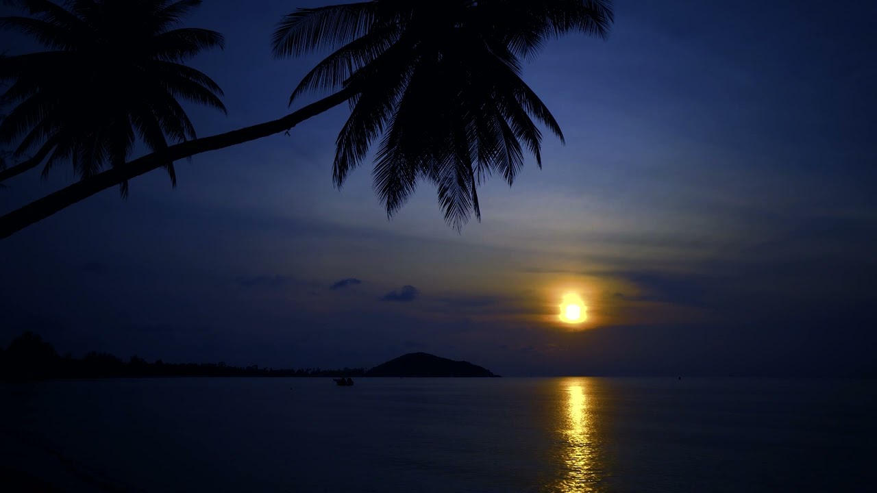Moonlit Beach Bliss: 10 Hours of Relaxing Ocean Waves & Stunning Night Sky
