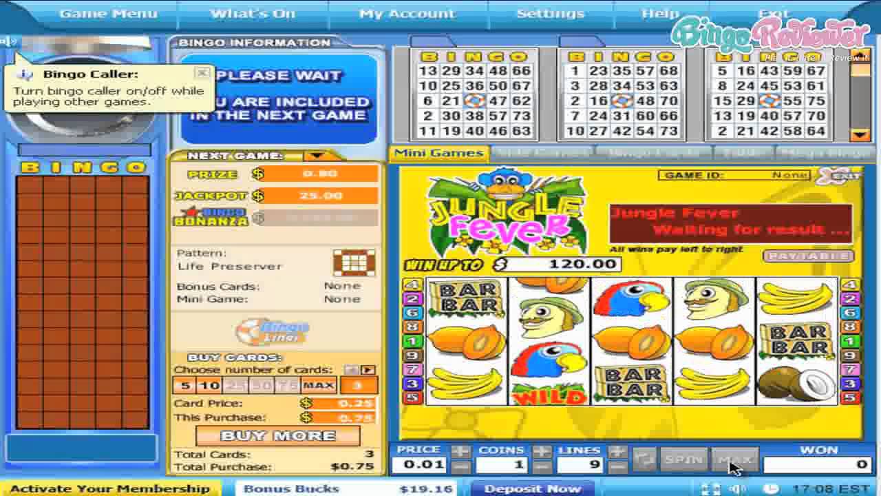 Bingo Liner - Video Review by BingoReviewer