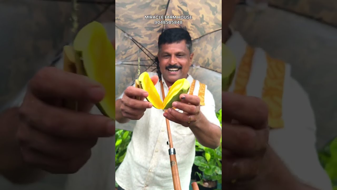വീട്ടിൽ നിർബന്ധമായും വെച്ചിരിക്കേണ്ട ഒരു വെറൈറ്റി ആണ് ഇത്…..