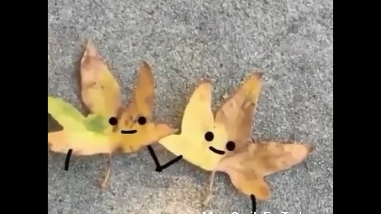 Animaci&oacute;n de objetos.