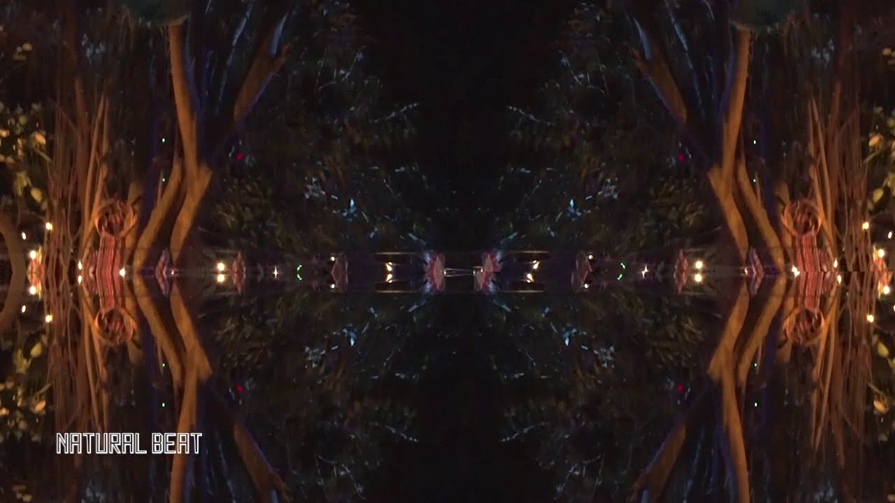 Naturalbeat - Forest Trip - W.O.P
