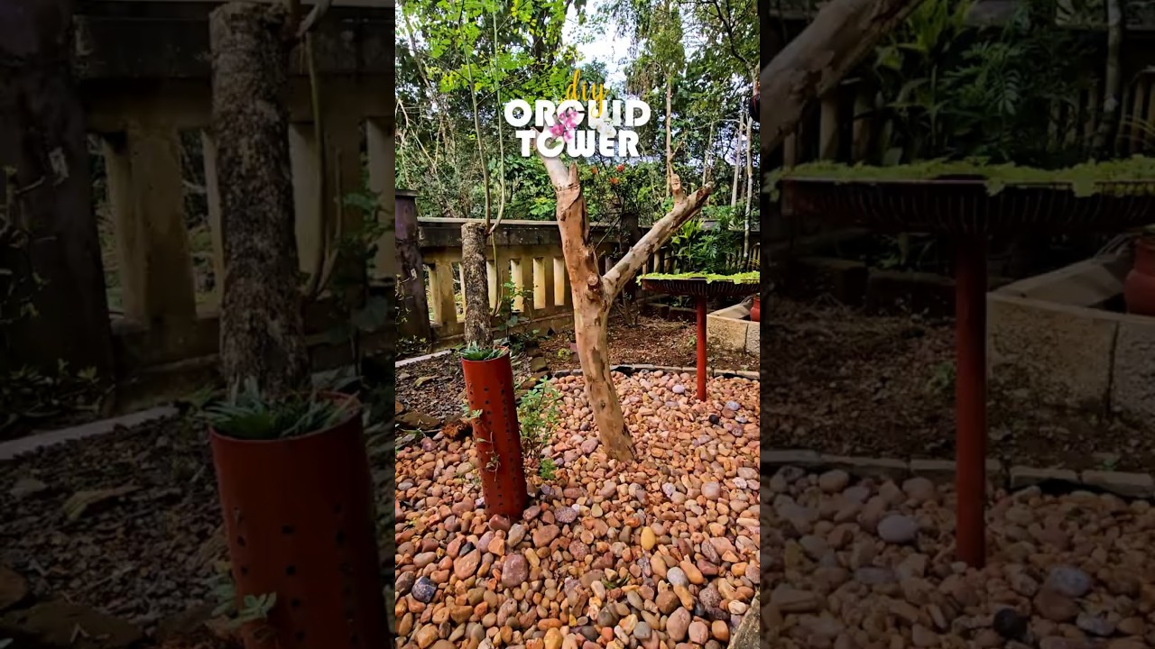 DIY Orchid Tower 🌿 | Creative Orchid Display Idea | Easy Gardening Project #orchidcare  #garden