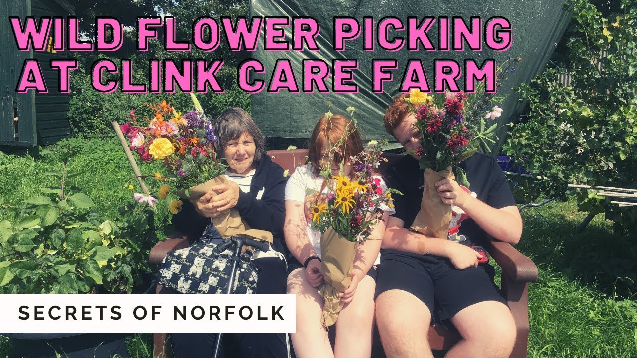 Wild flower picking at Clink Care Farm