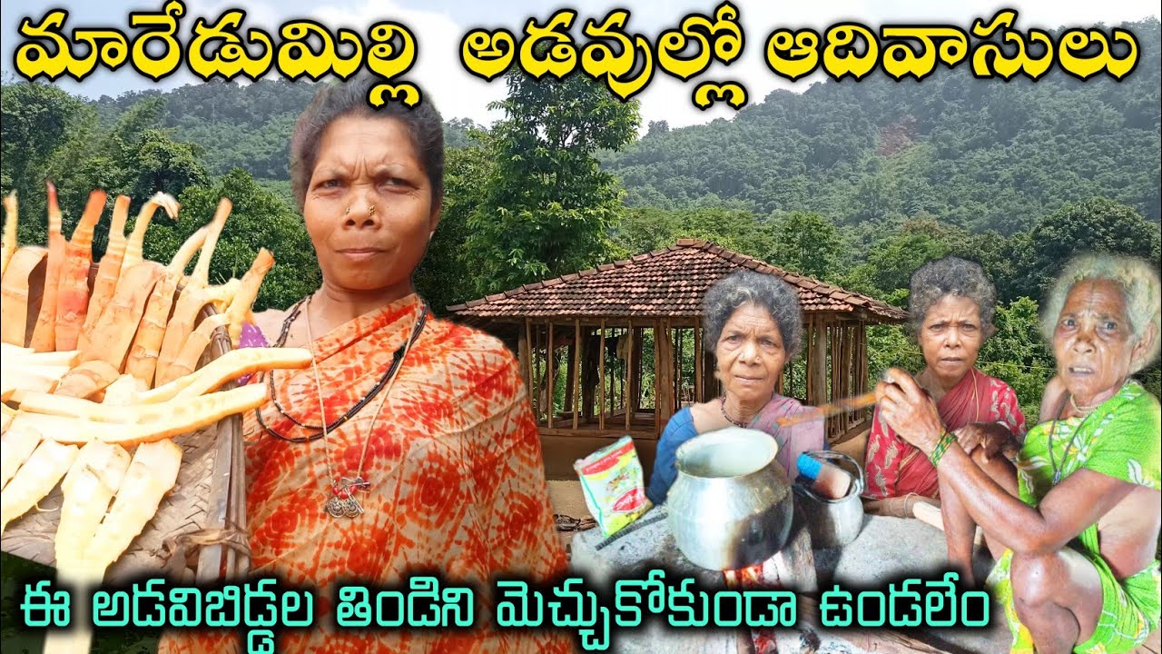 Maredumilli forest Konda Reddy's natural food&Village|మారేడుమిల్లి అడవుల్లో గిరిజనులు @TribalMirror
