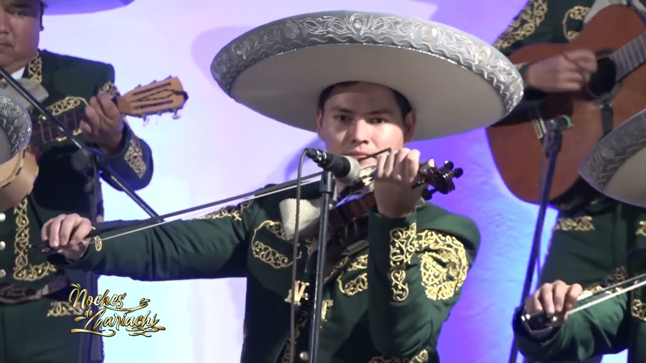 NOCHES DE MARIACHI - MARIACHI NUEVO TAMAZULA