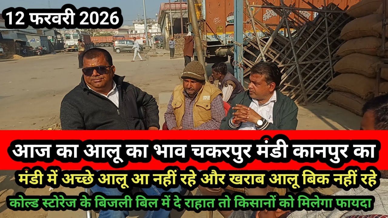 आज का आलू का भाव चकरपुर मंडी कानपुर का 12 फरवरी 2026 