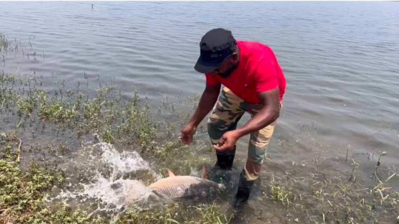 fishing tips and techniques | fishing | lake fishing tips | small boll fishing videos