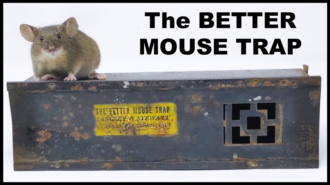 The Better Mouse Trap - Testing Out a Rare Antique Metal Mouse Trap. Mousetrap Monday