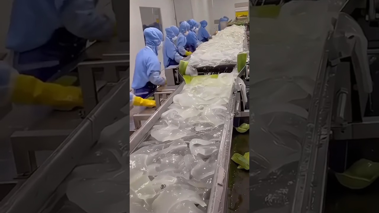 Japan aloe vera farming 😨 #aloevera #farming