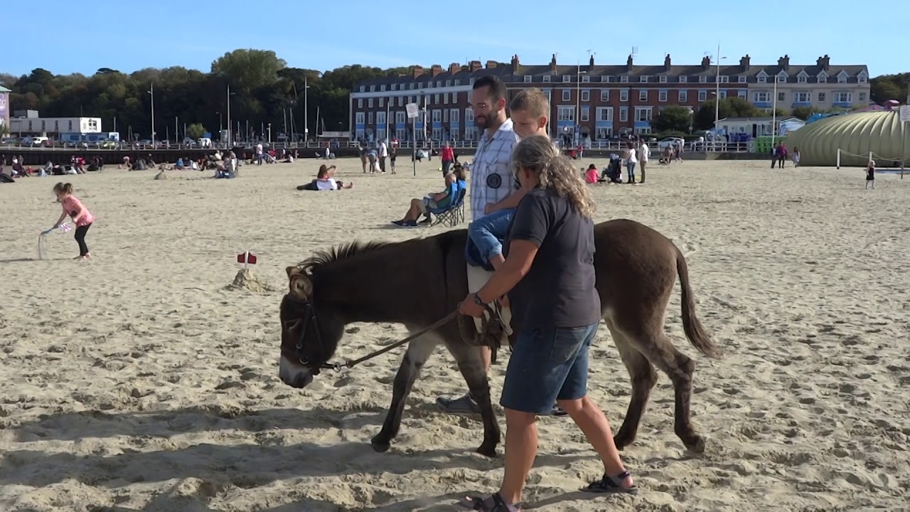 Donkey Ride Weymouth