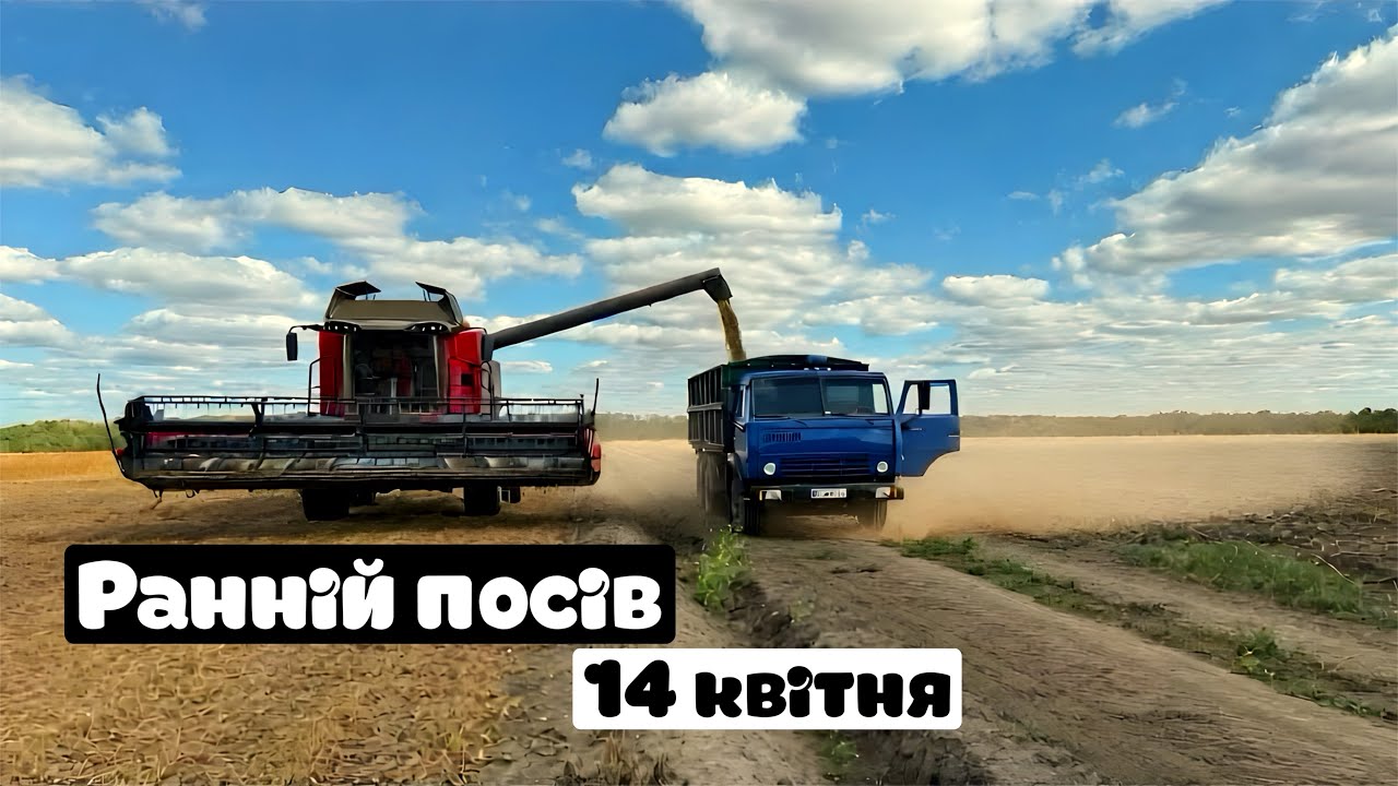 Мустанг є мустанг, МОЩ💪максимус залишився в полі😭врожайність 2,9 т з га🤷‍♂️