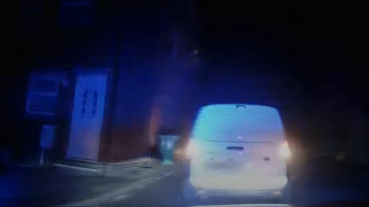 Clever canine sniffs out runaway suspect after police car rammed