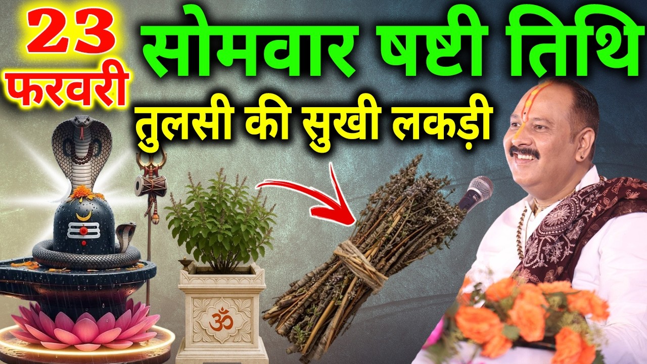 23 फरवरी फाल्गुन सोमवार षष्टी के दिन तुलसी की सुखी लकड़ी वाला उपाय जरुर करे || Pradeep Ji Mishra