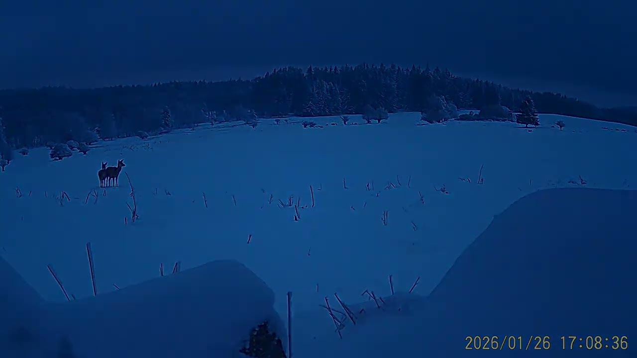 Momenty přírody   Slavkovský les