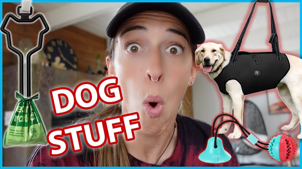 Testing Dog Products!