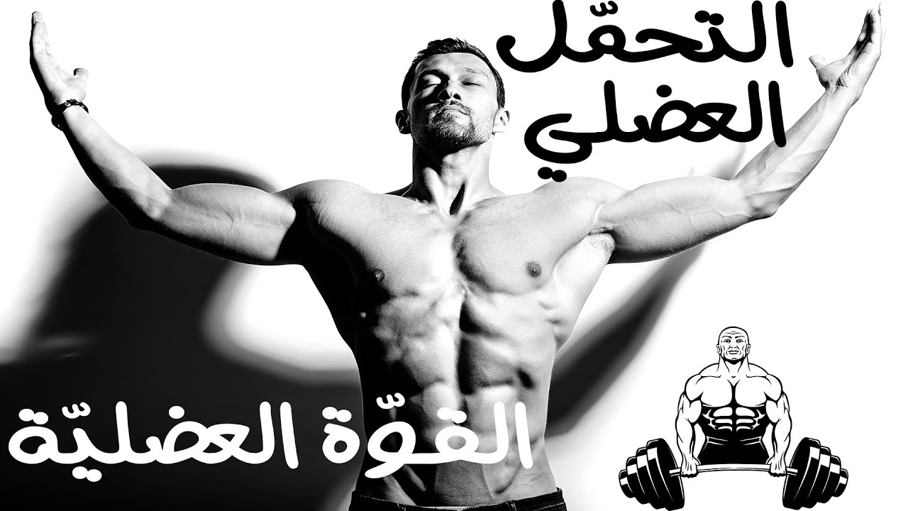 التحمل العضلي و القوّة العضليّة ؟! تعرّف على عضلاتك