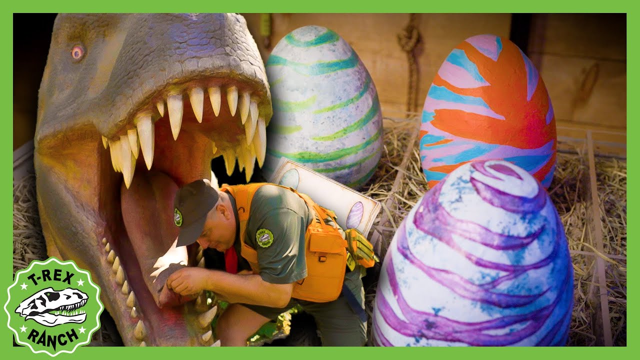 Dino Clue Hunt! Step Inside Surprise Egg Adventure | 🦖🦕 T-Rex Ranch Dinosaur Videos