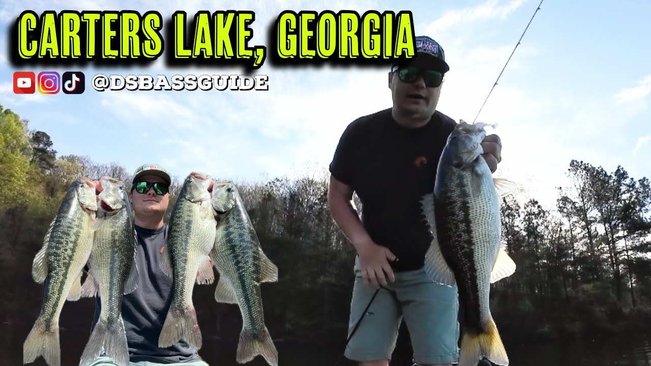 Carters Lake Big Spotted Bass - PRE SPAWN/SPAWN North Georgia Fishing