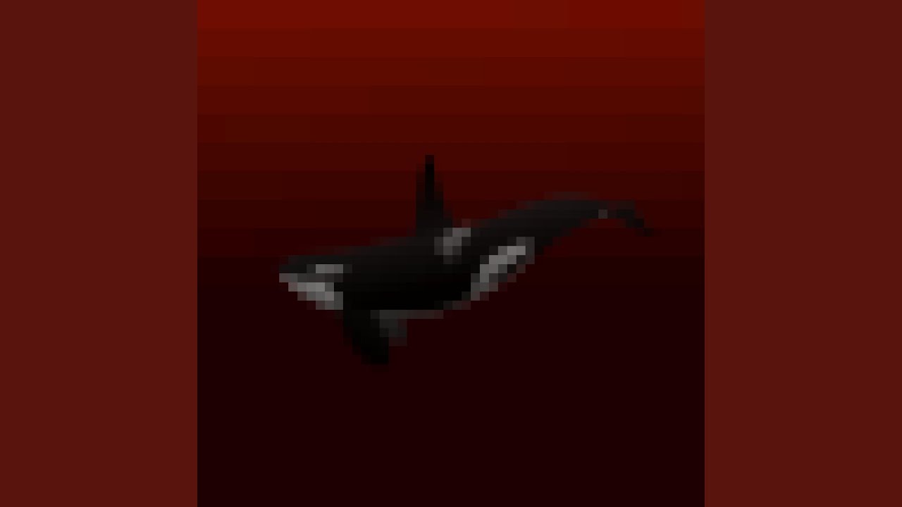 Killer Whale