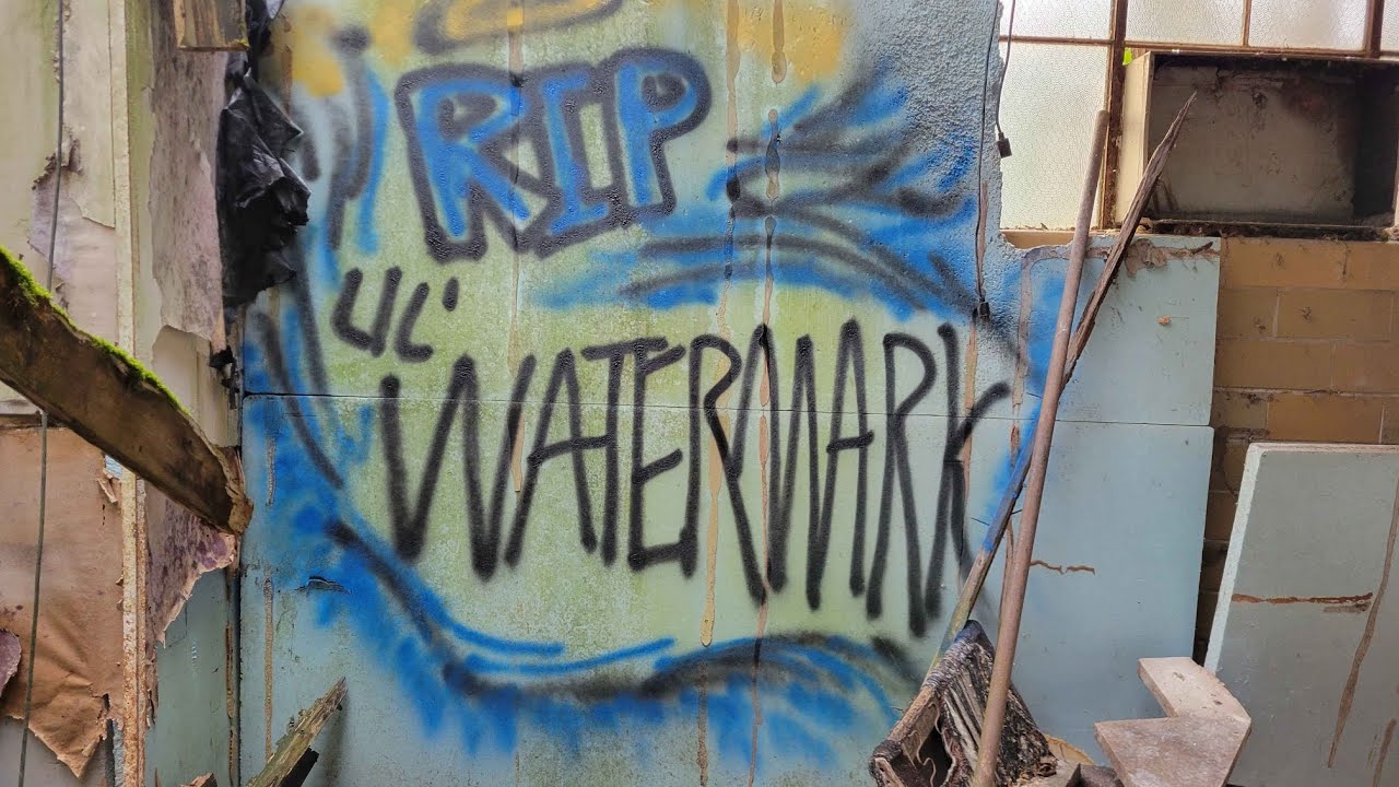 Lil Watermark - h8te my guts (Unreleased Demo)