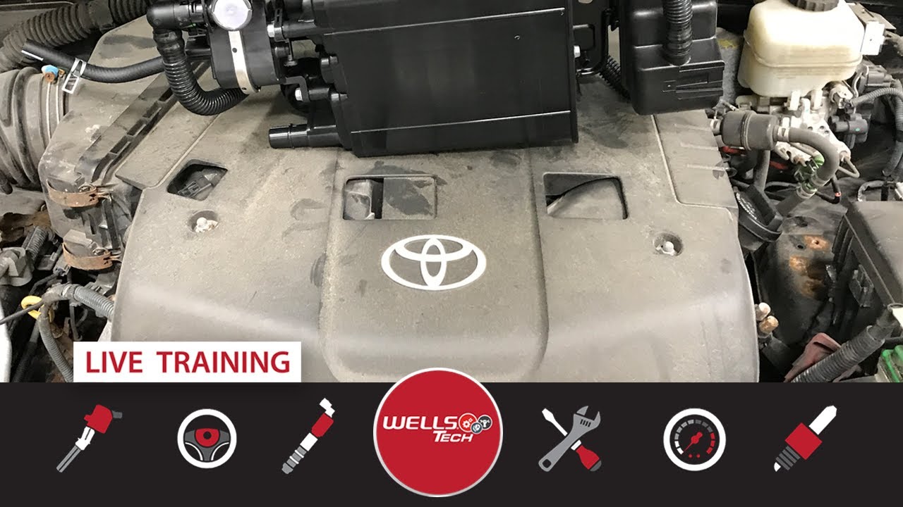 EVAP-Toyota/Lexus Systems Function and Diagnostics (LDP, VSV, VPS, P0441, p0440, P0455)