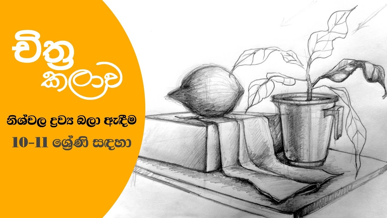 නිශ්චල ද්‍රව්‍ය බලා ඇඳීම✒️✒️ සා.පෙළ සඳහා 🚫🟥නිවැරදිව ලේසියෙන් ම අඳිමු👊👊