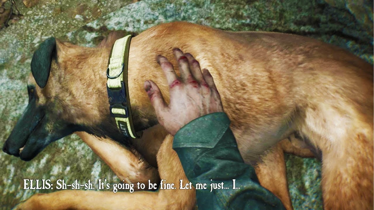 Blair Witch - Bullet the Dog Death by Evil Power -  (Blair Witch Game 2019)