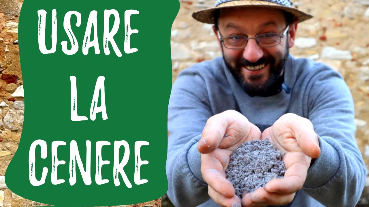 La CENERE come concime