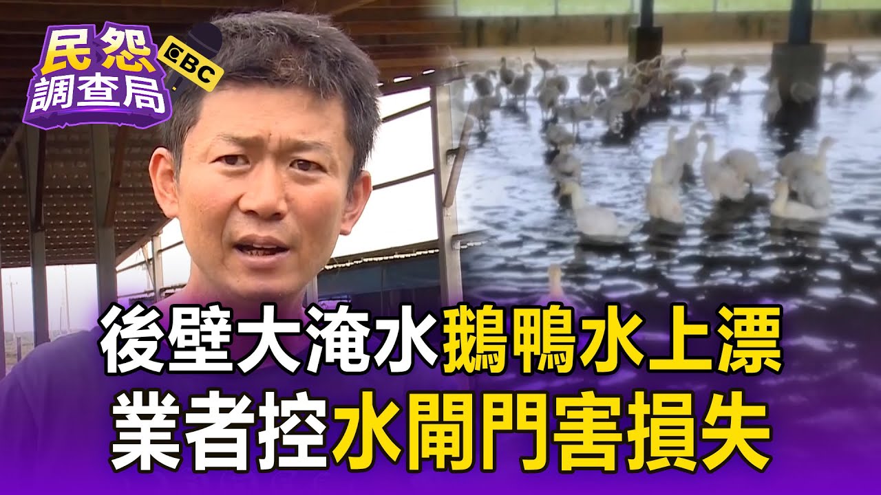 【台南災情】後壁大淹水「鵝鴨水上漂」2成救不回！業者怒控：水閘門浪費錢白做 @57ETFN