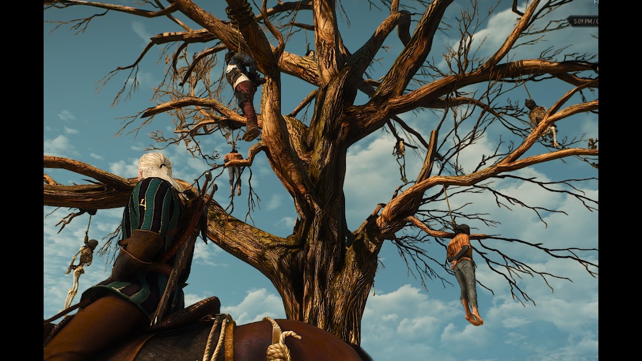 The Witcher 3- Part 4