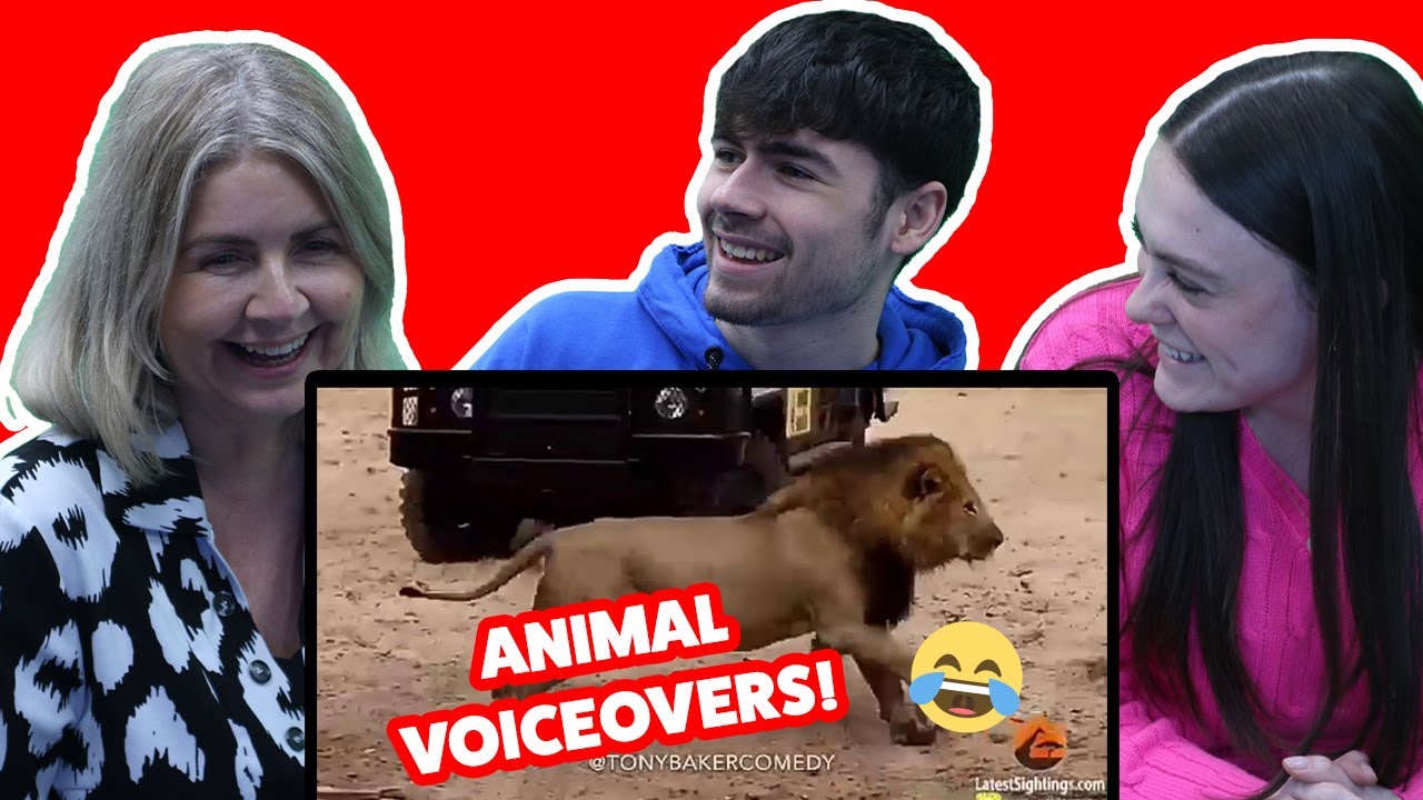 BRITISH FAMILY REACTS! Animal Voiceovers - Tony Baker