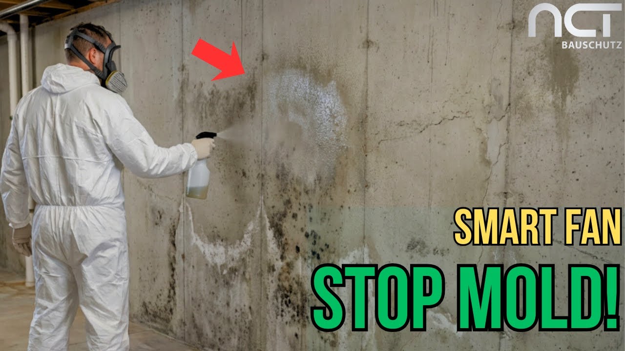 Removal of Mold from Walls and Ceilings of an Old Damp Basement | Fungicidal Agent
