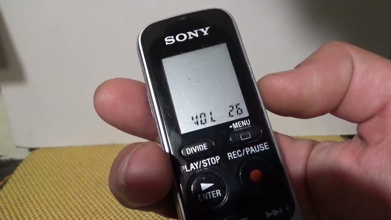 Grabadora De Voz Digital Sony Icd-bx112 2gb (01)