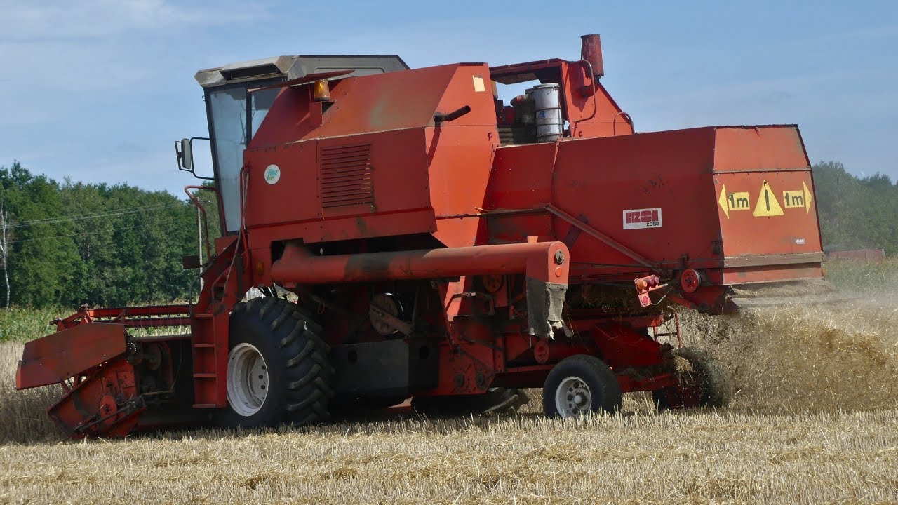 Bizon Rekord kontra Claas Dominator na jednym polu!! Żniwa 2023