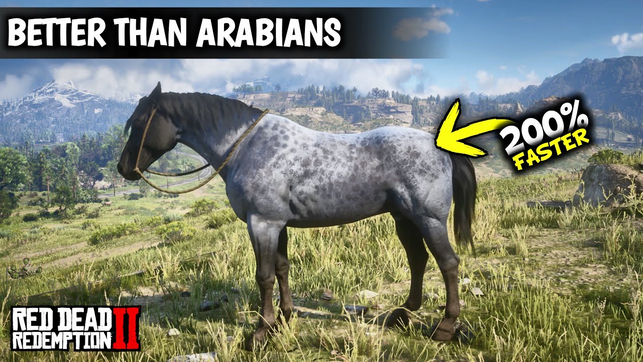 5 Horses Faster than Arabians & Get them as Arthur Early | Red dead redemption 2 |