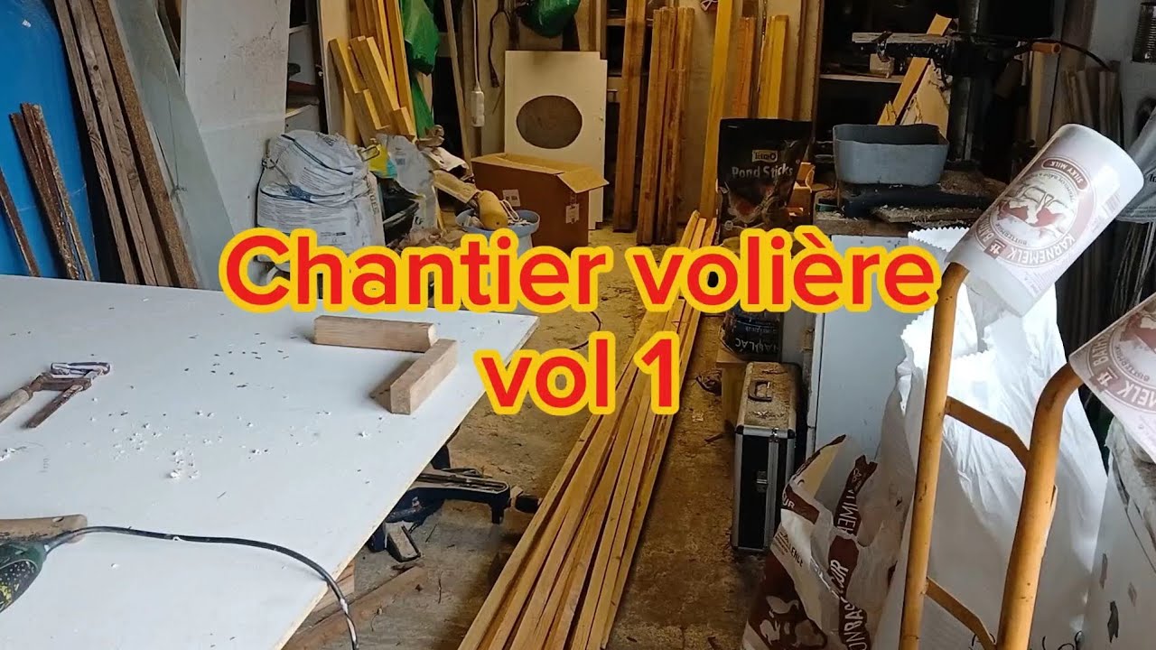 Chantier volière, vol 1