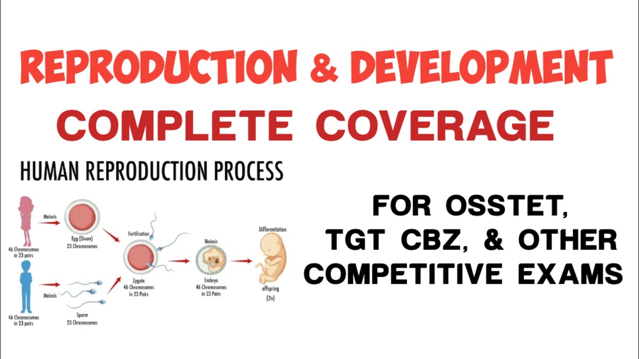 BIOLOGY || REPRODUCTION & DEVELOPMENT IN HUMAN FOR OSSTET, CTET, & TEACHING EXAMS