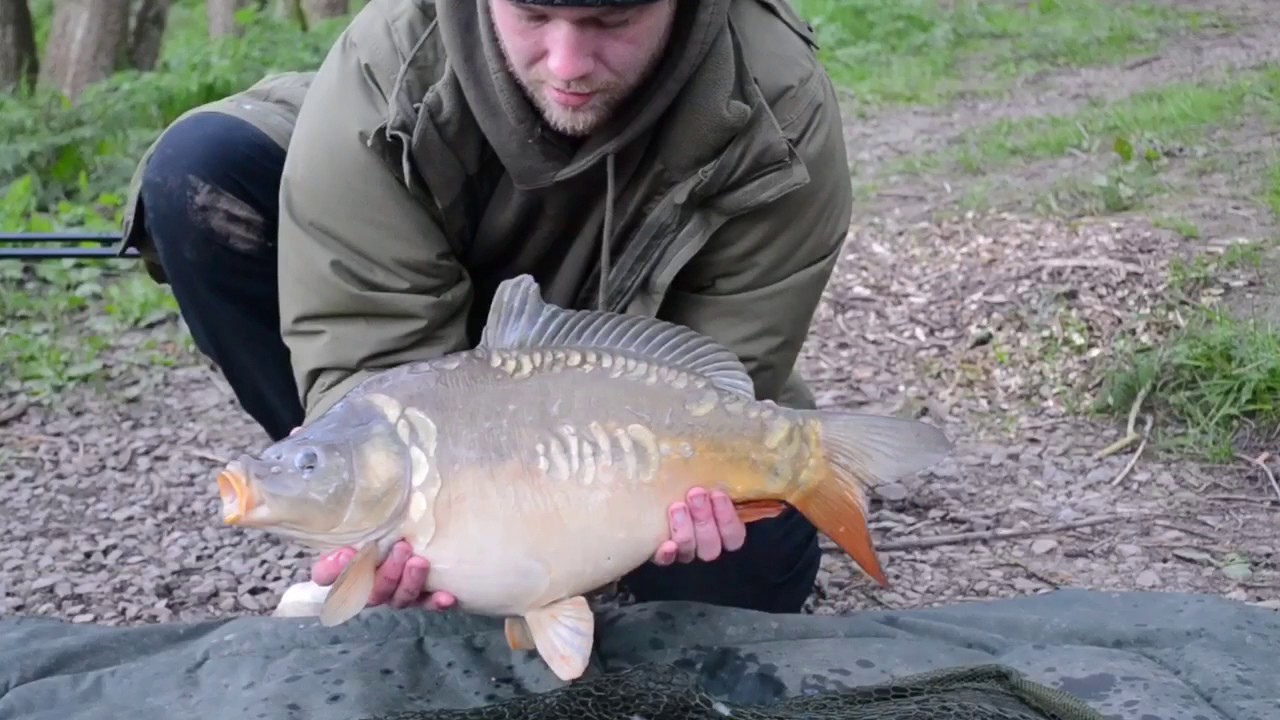 Lonsdale Park Fishery, Lonsdale lake