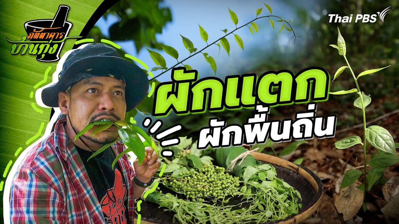 ผักแตก | ภัตตาคารบ้านทุ่ง