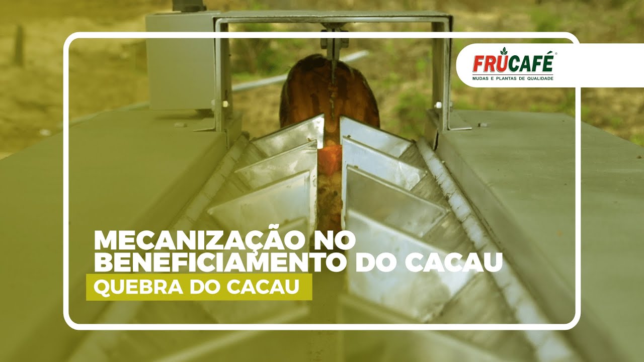 Máquina Compacta de Quebrar Cacau de Linhares-ES.